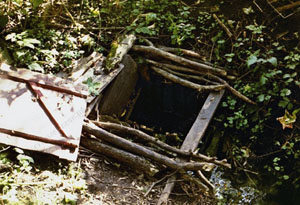 1992