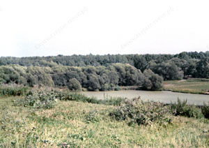 С северного берега, 1992 г.