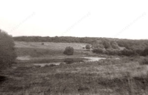 Примерно 1970 г., заполнение пруда