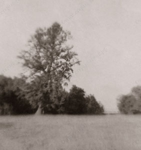 Фотография из села Свечи