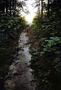 В 1992 году…