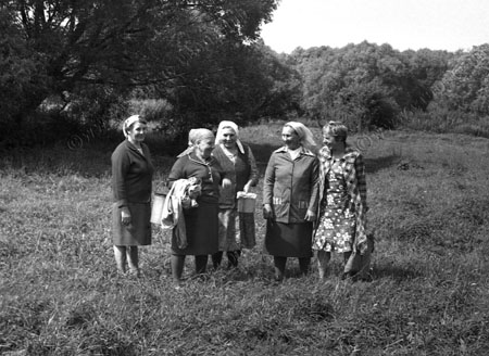Сведения о родах и персоналиях