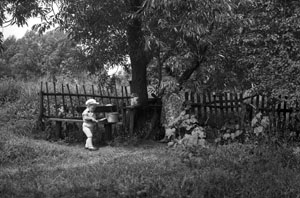 Сведения о родах и персоналиях