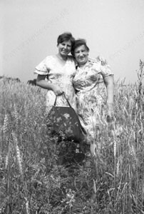 Сведения о родах и персоналиях