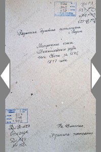 Метрическая книга за 1875 г.