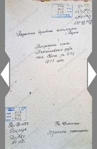 Метрическая книга за 1877 г.