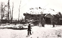 1946-1981 годы