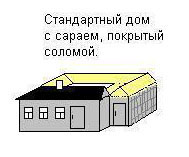 1946-1981 годы